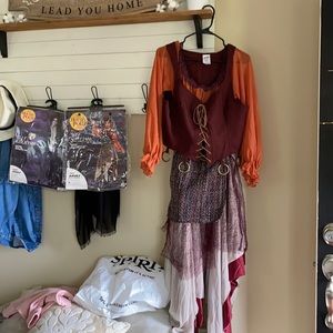 LIKE NEW Hocus pocus adult women costume. large.